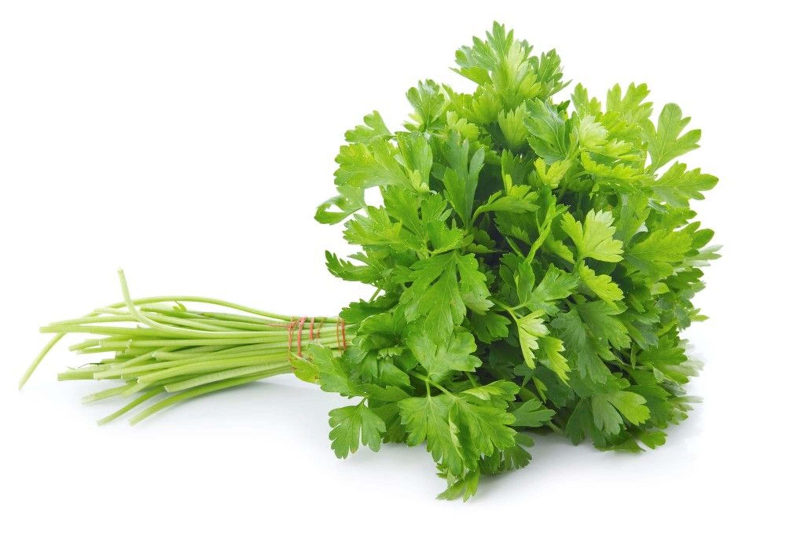 Image of Organically Grown Fresh Parsley 50g: The Paddock