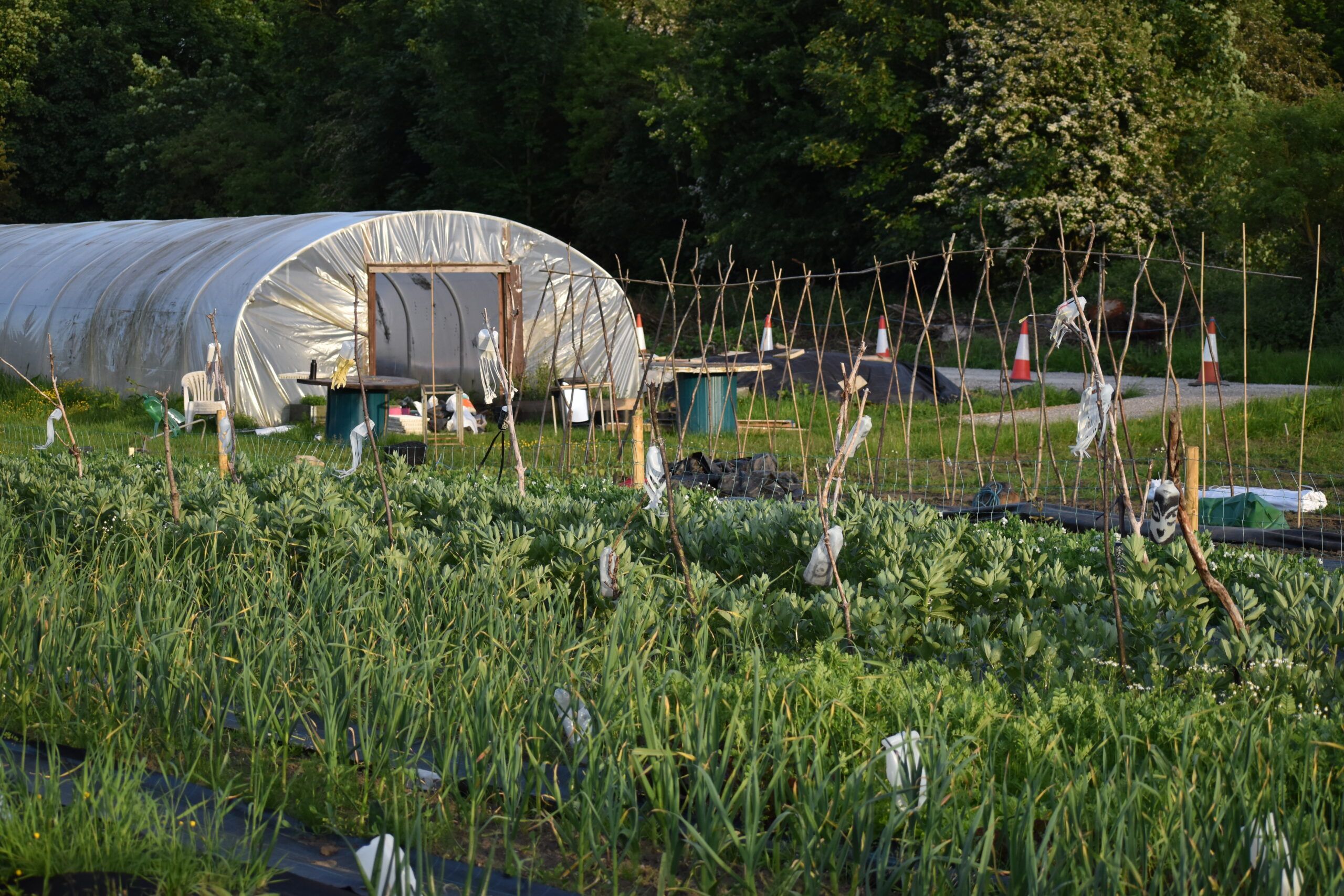 Kirkstall Valley Farm - LS4