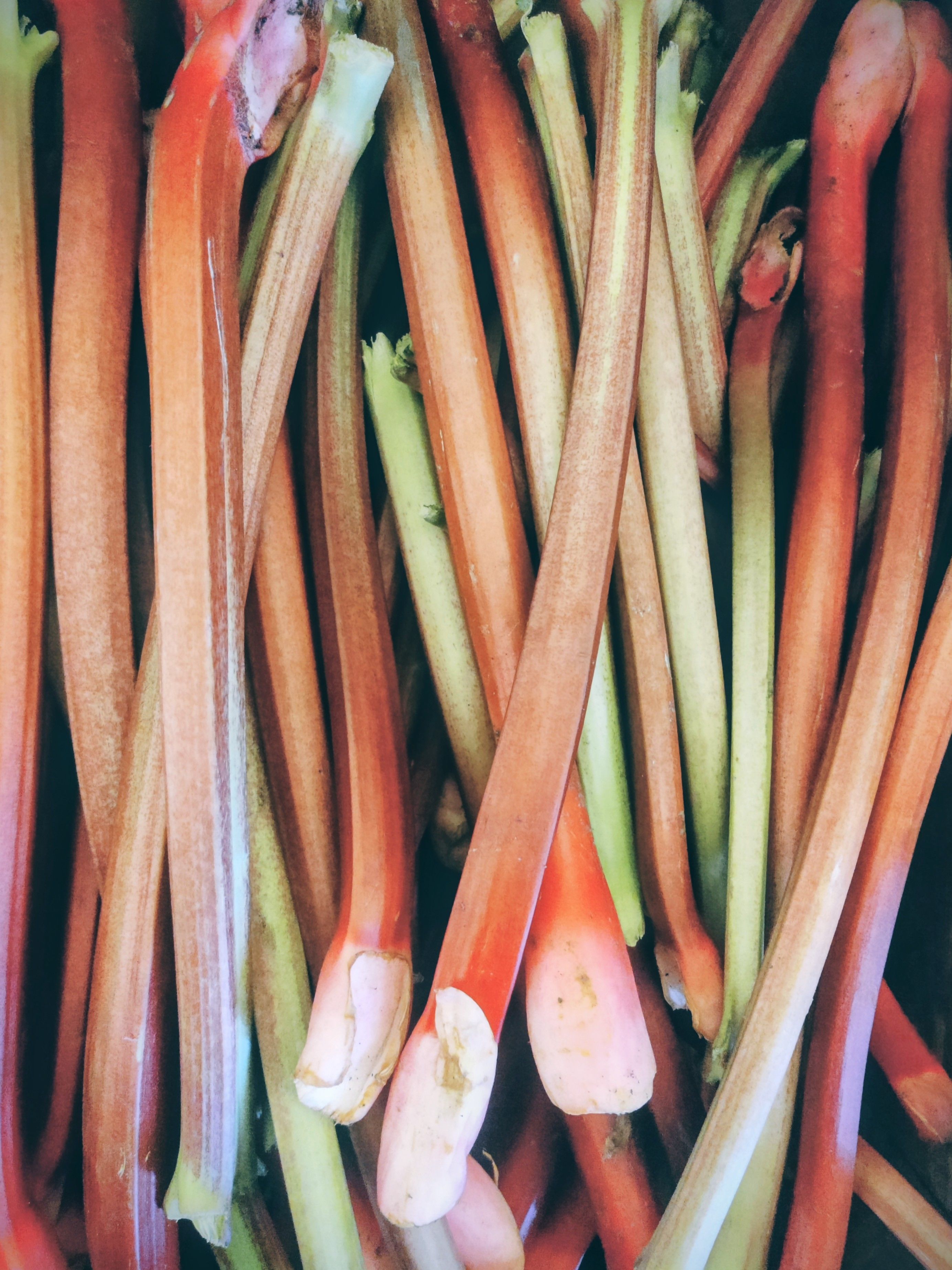 Image of Rhubarb (Forty Hall Farm)