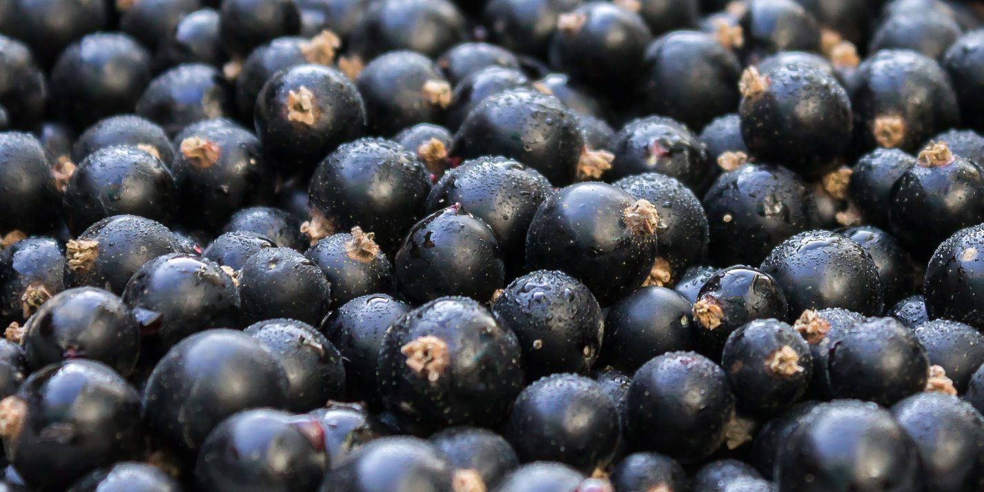 Image of Local Blackcurrants 125g