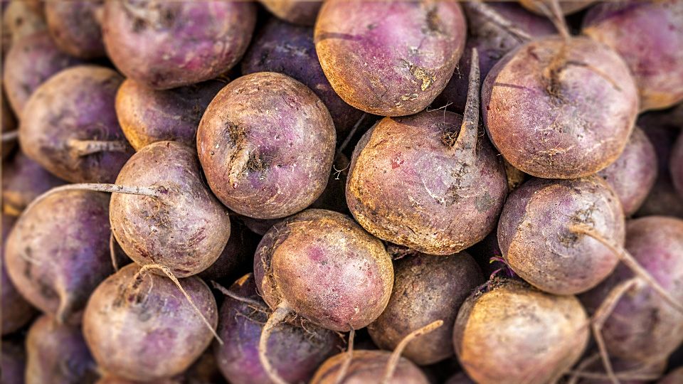 Image of Beetroot