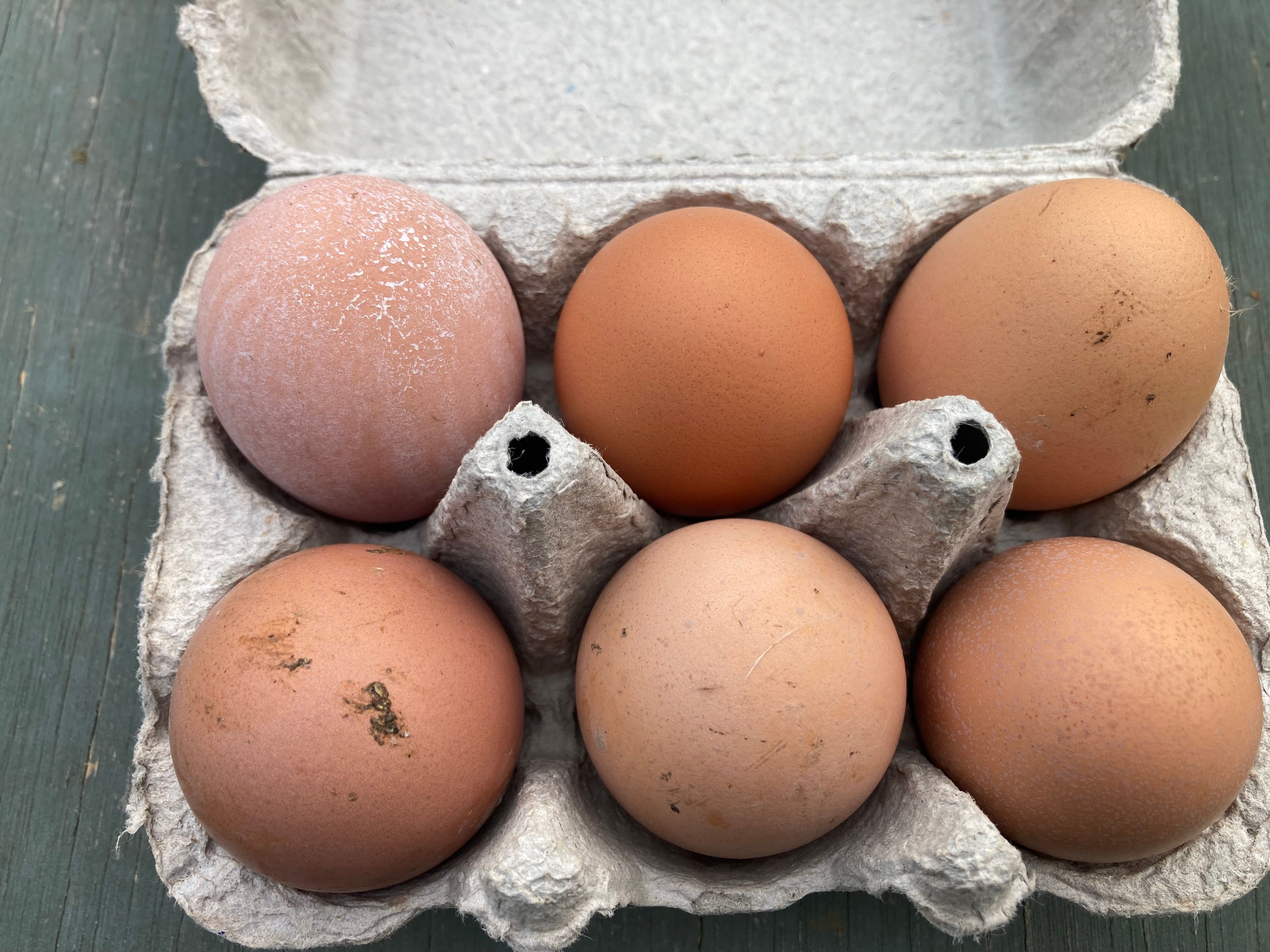 Image of Organic eggs