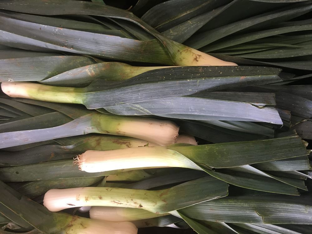 Image of Leeks