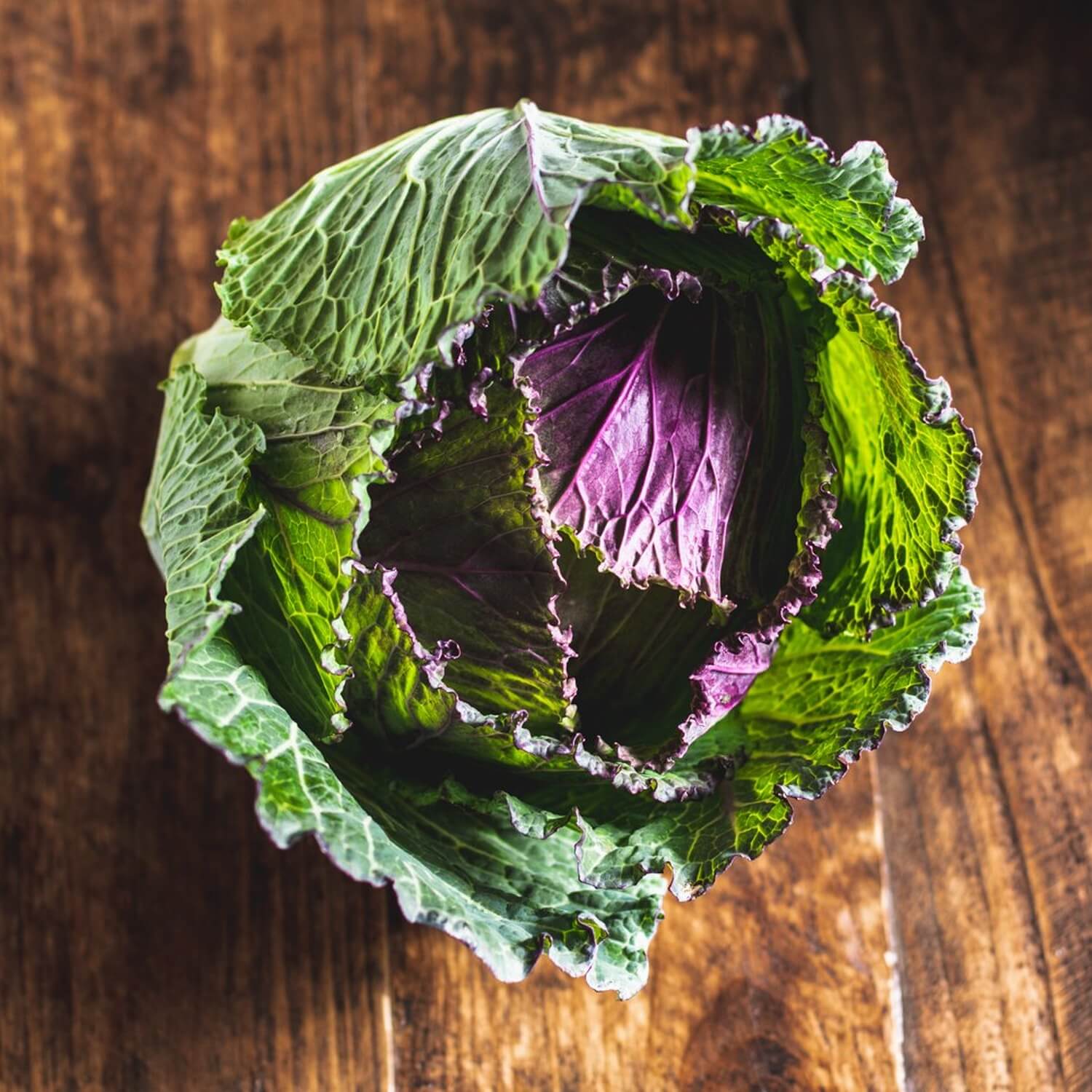 Image of Cabbage, January King