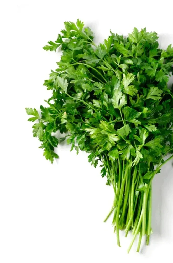 Flat Parsley Bunch