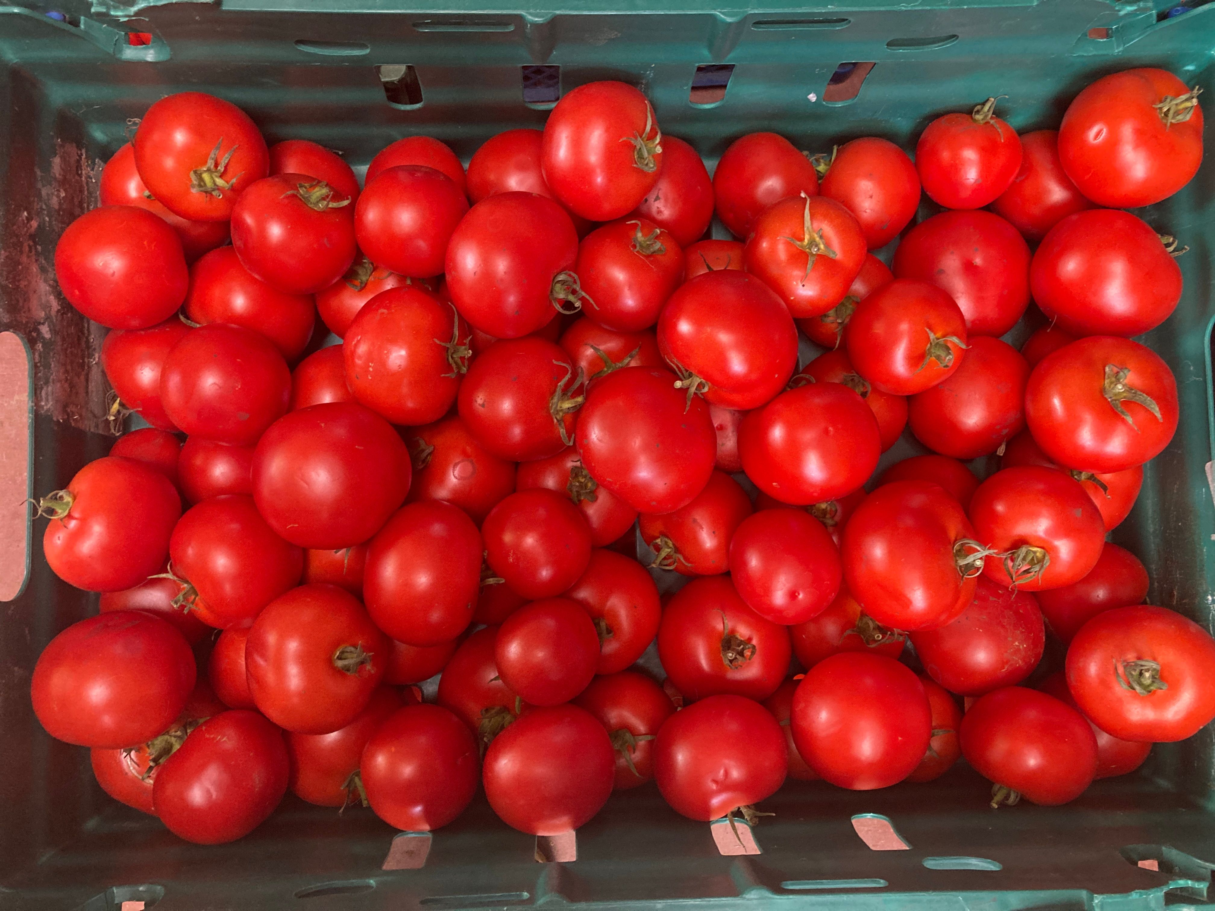 Passata Tomato box 10kg 
