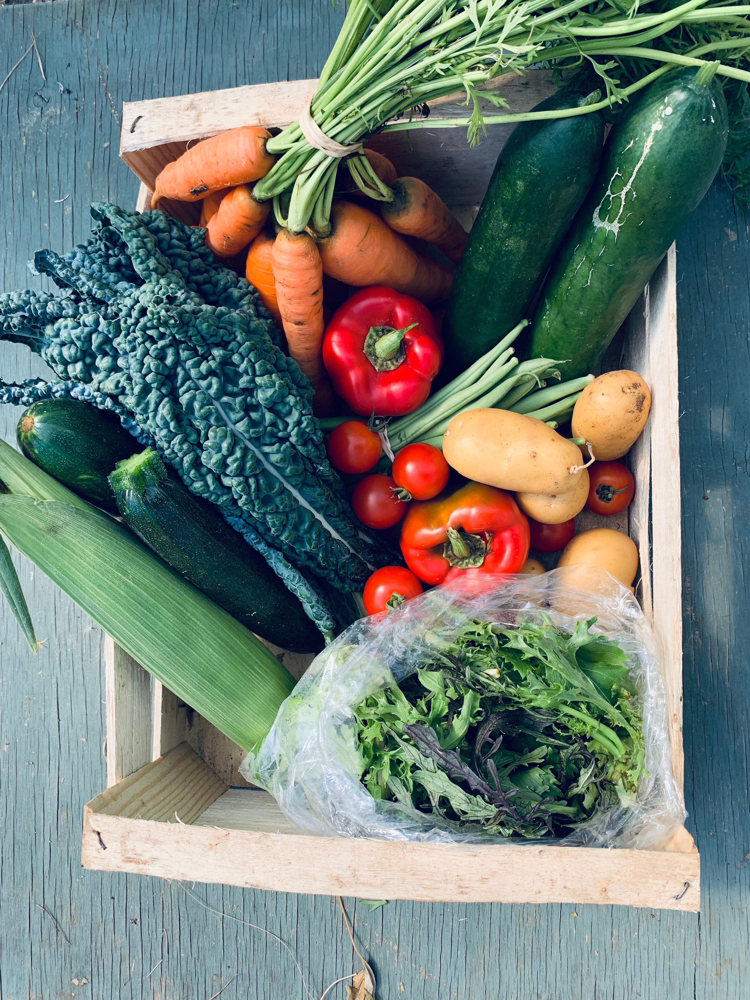 Image of How to shop with us