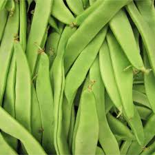 PYO Beans - Helda Green