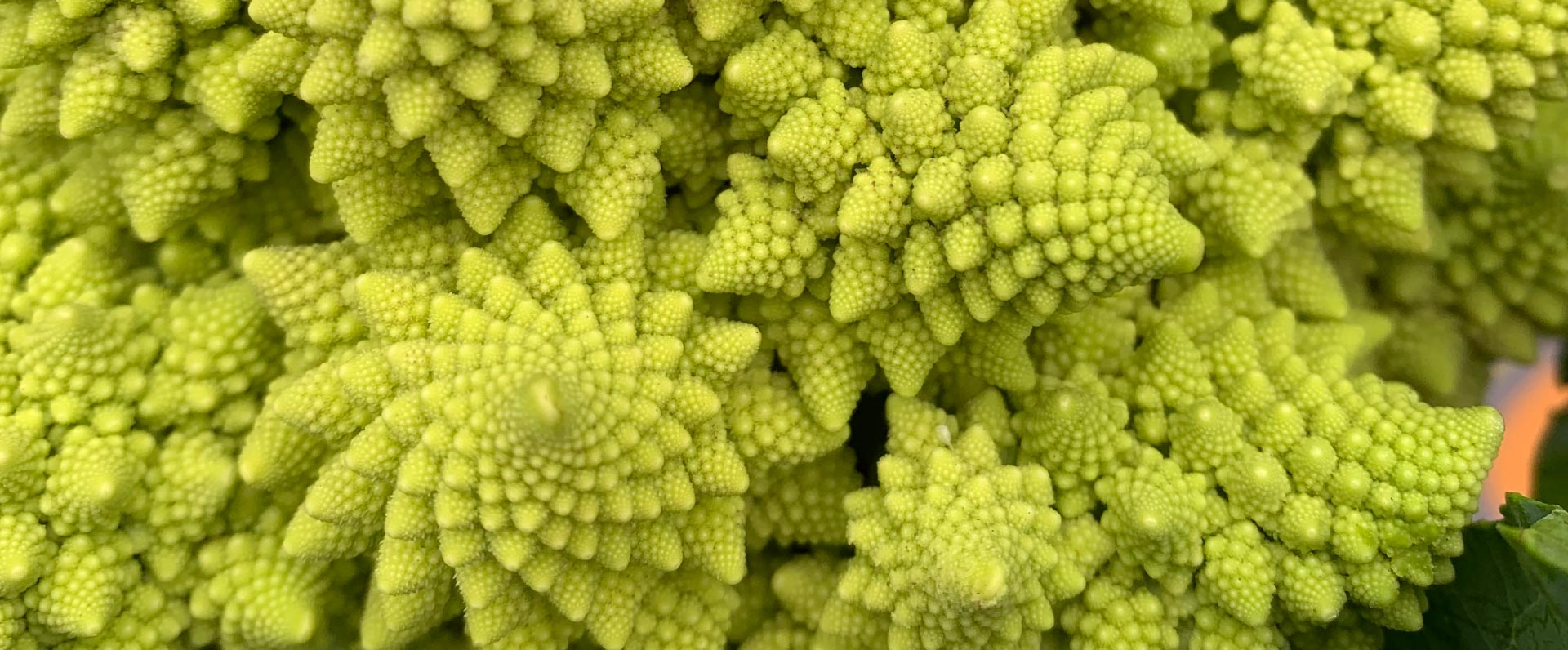 Image of How It Works