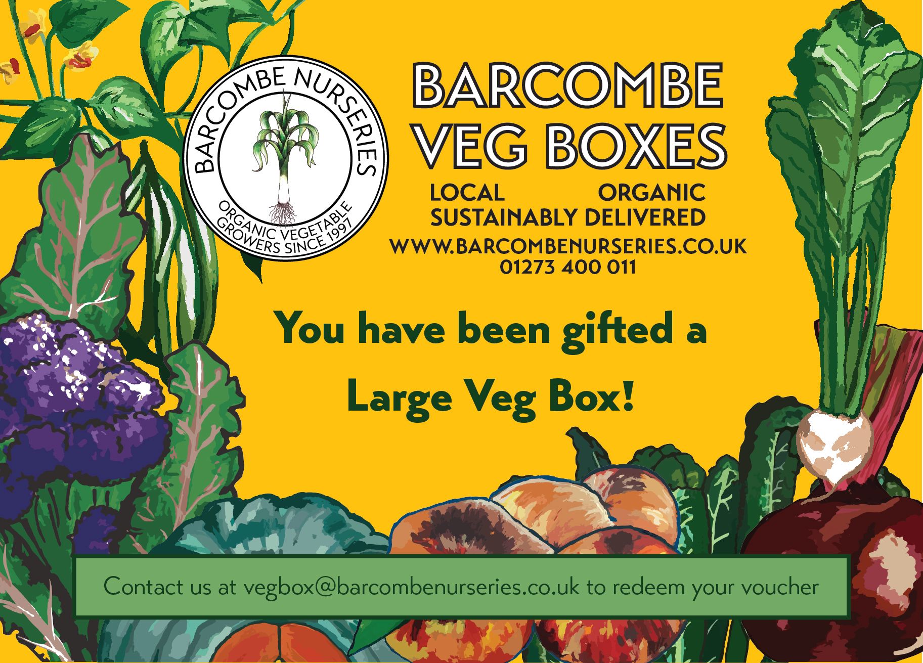 Gift a Large Veg Box