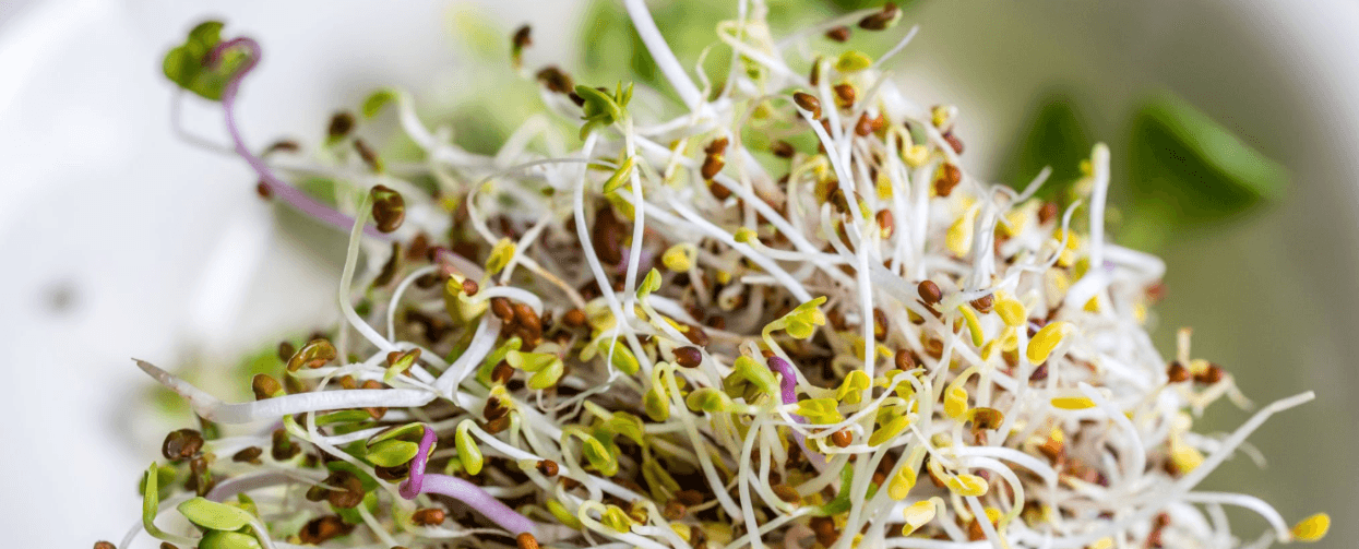 Image of Mixed Sprout Pack, 160g