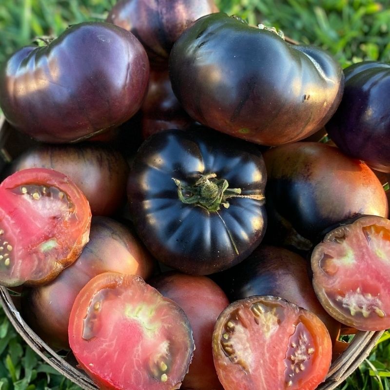 Image of Organic Black Tomatoes