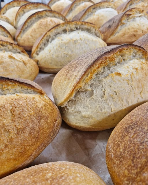Image of Plain Sourdough