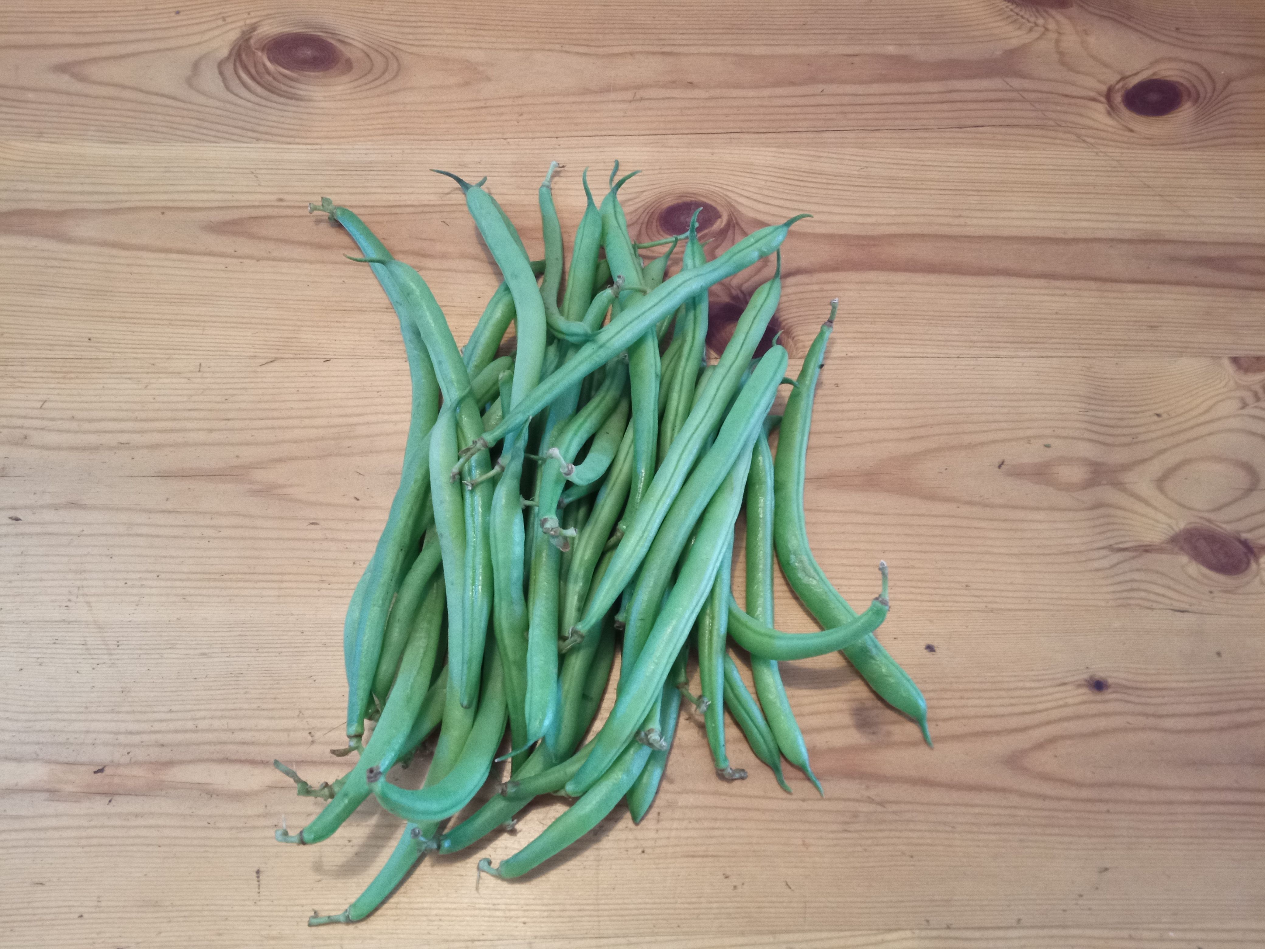Ffa Ffrenig / French beans