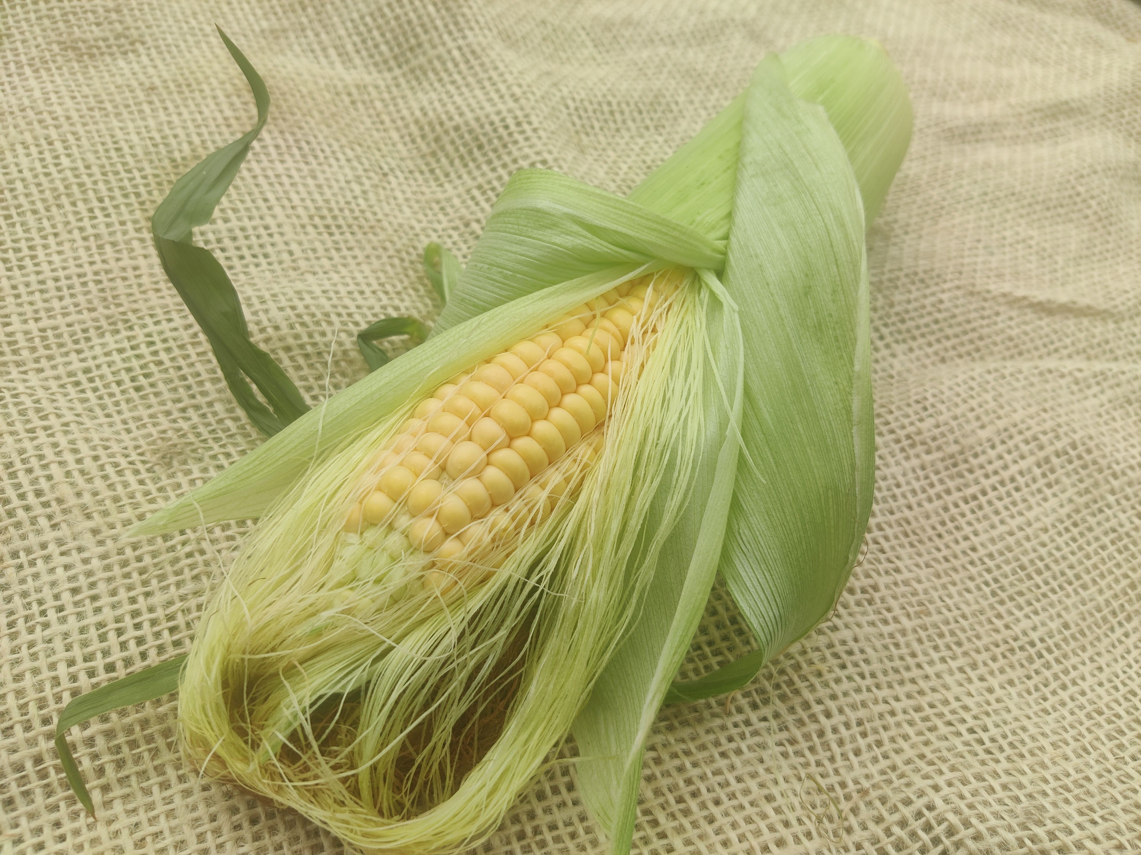 Sweetcorn