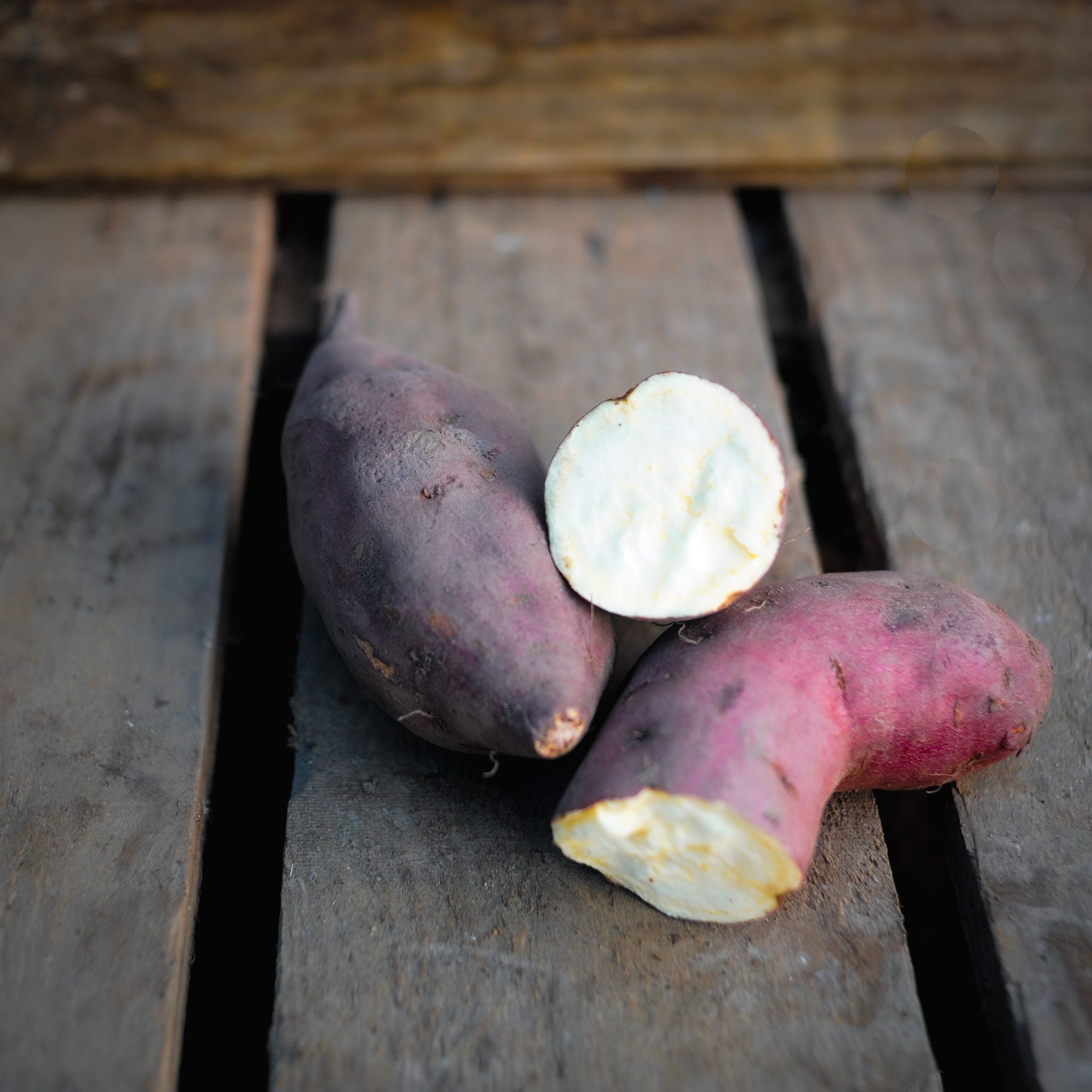 White Sweet Potatoes