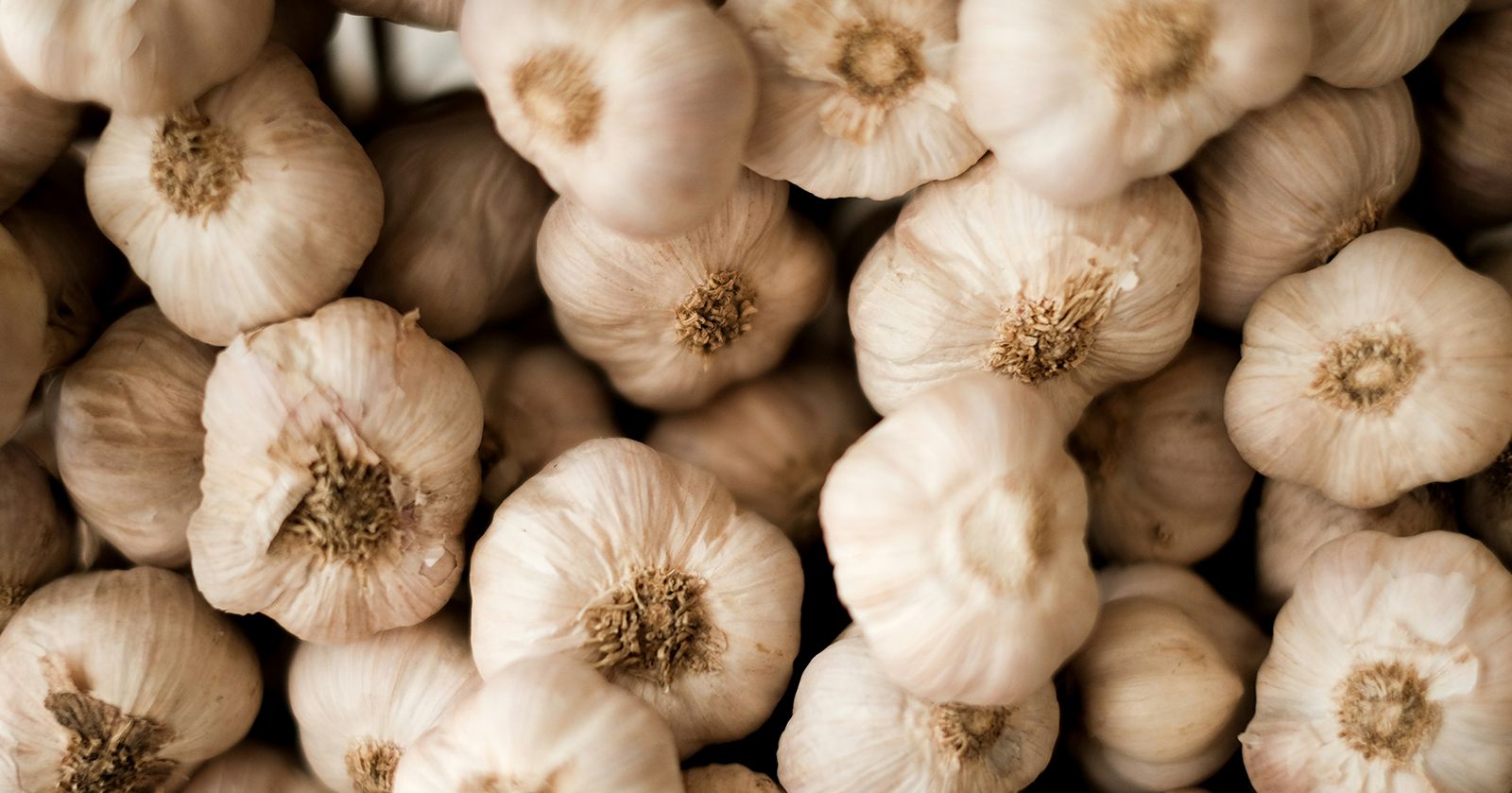 Image of Garlic