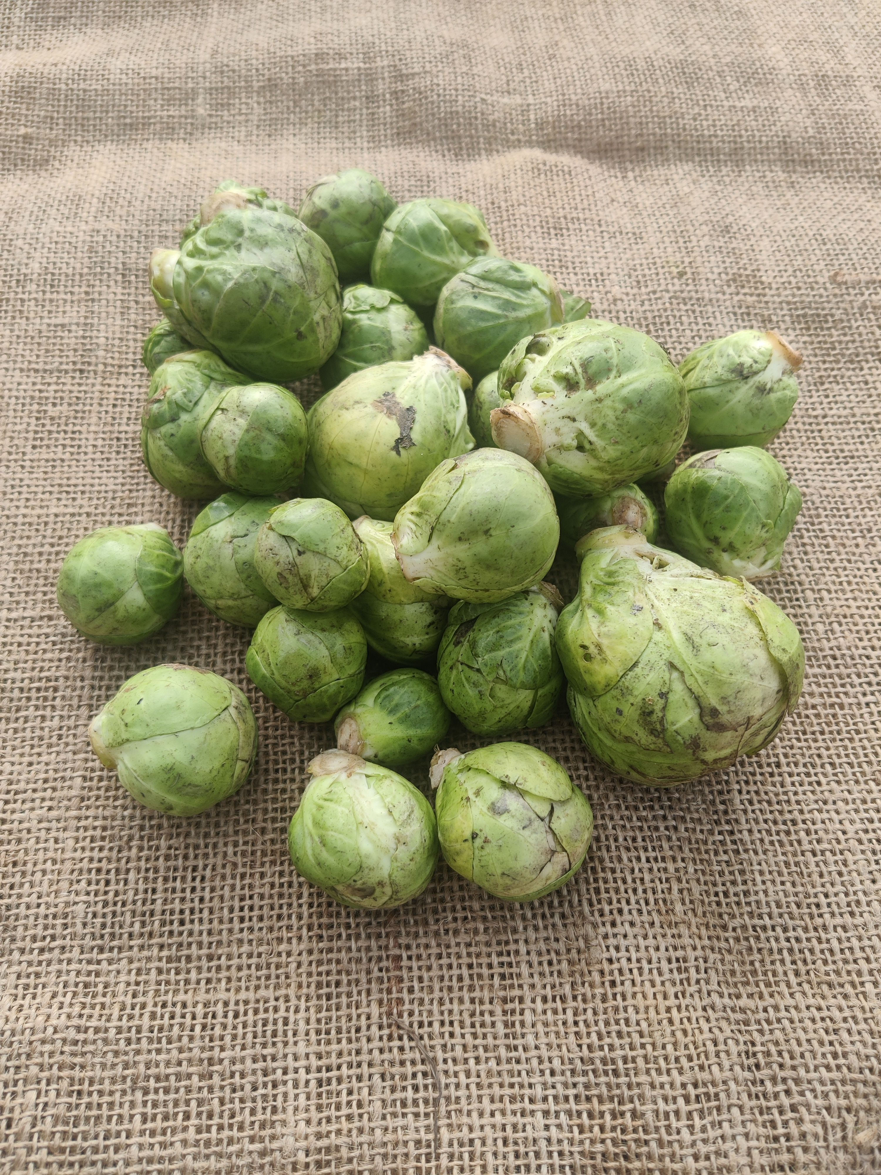 Brussels sprouts