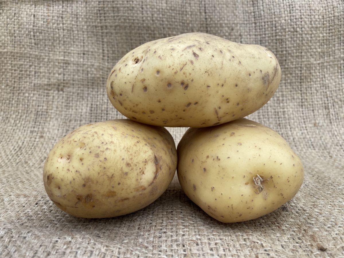 Buston Farms Washed Baking Potatoes grown in Northumberland: 10kg (Pre-order Product)