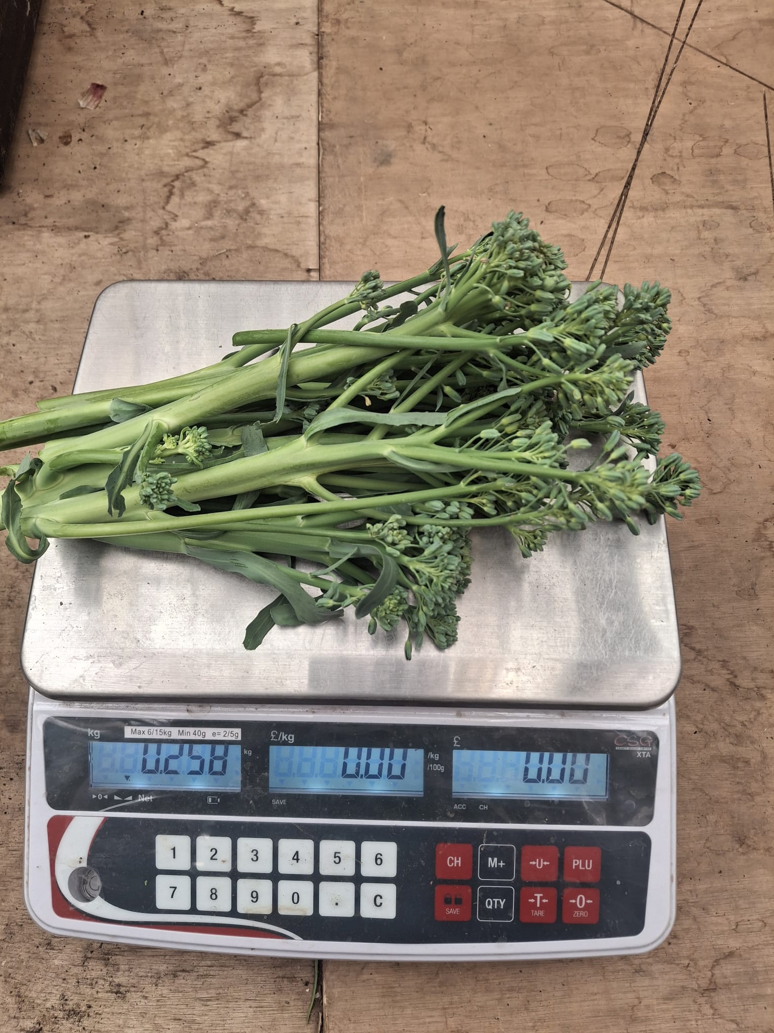 Tenderstem Broccoli