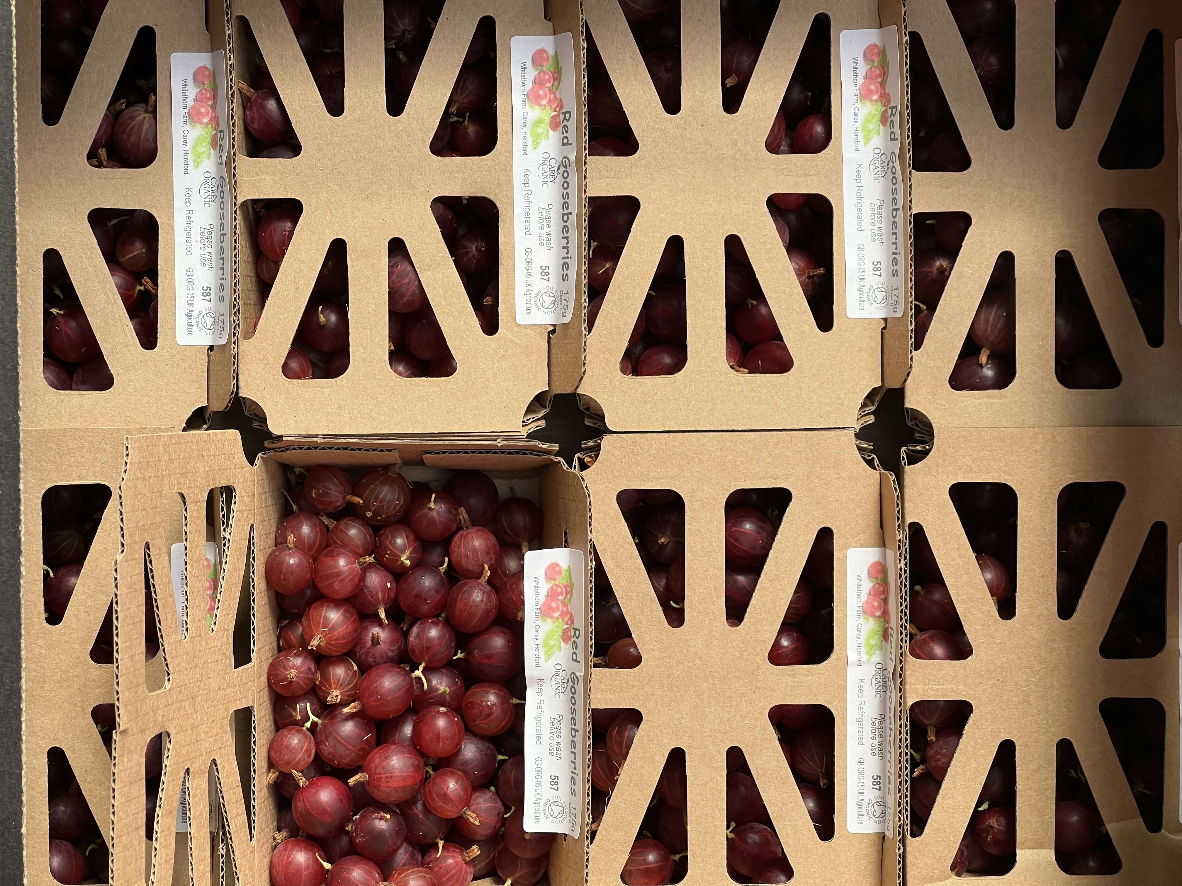 Gooseberry Punnet 175g 
