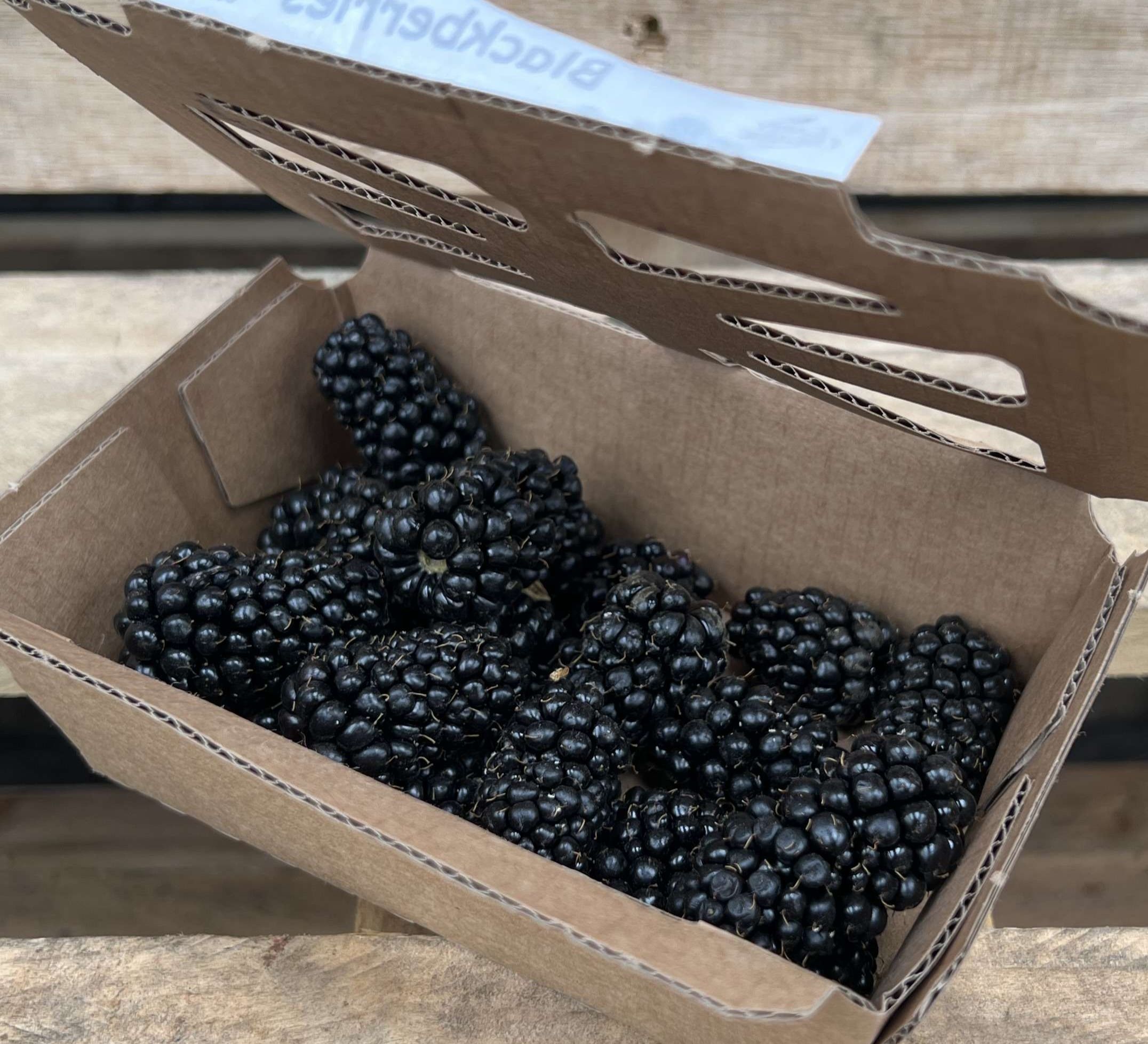 Blackberries