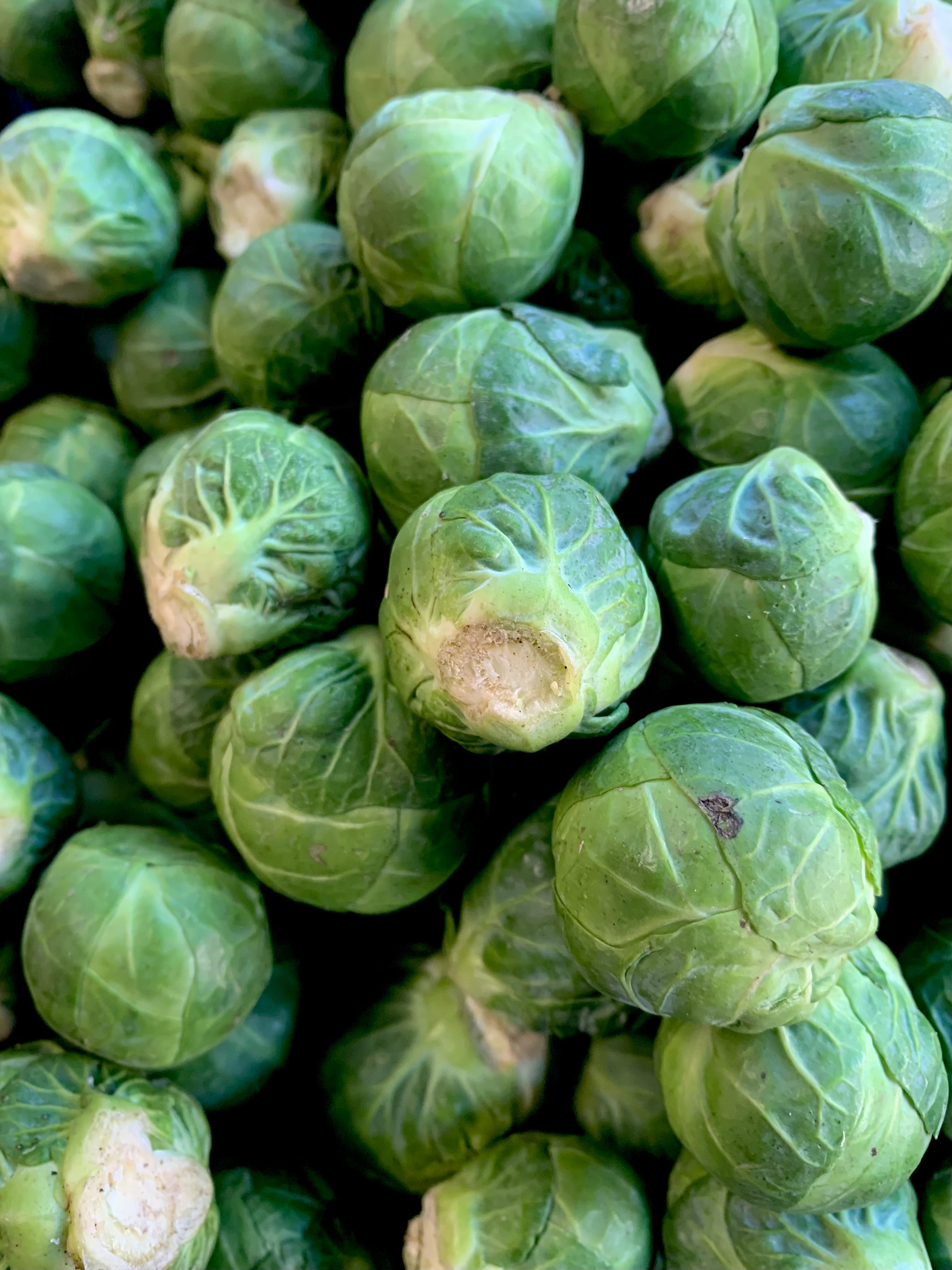 Image of Christmas Boxes Now Available to Order!