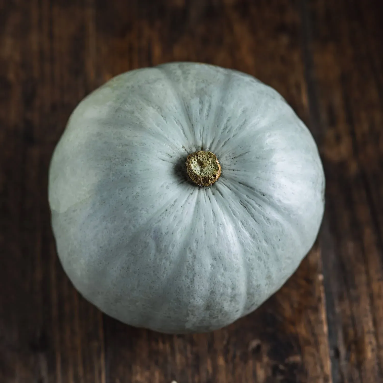 Squash 'Crown Prince'