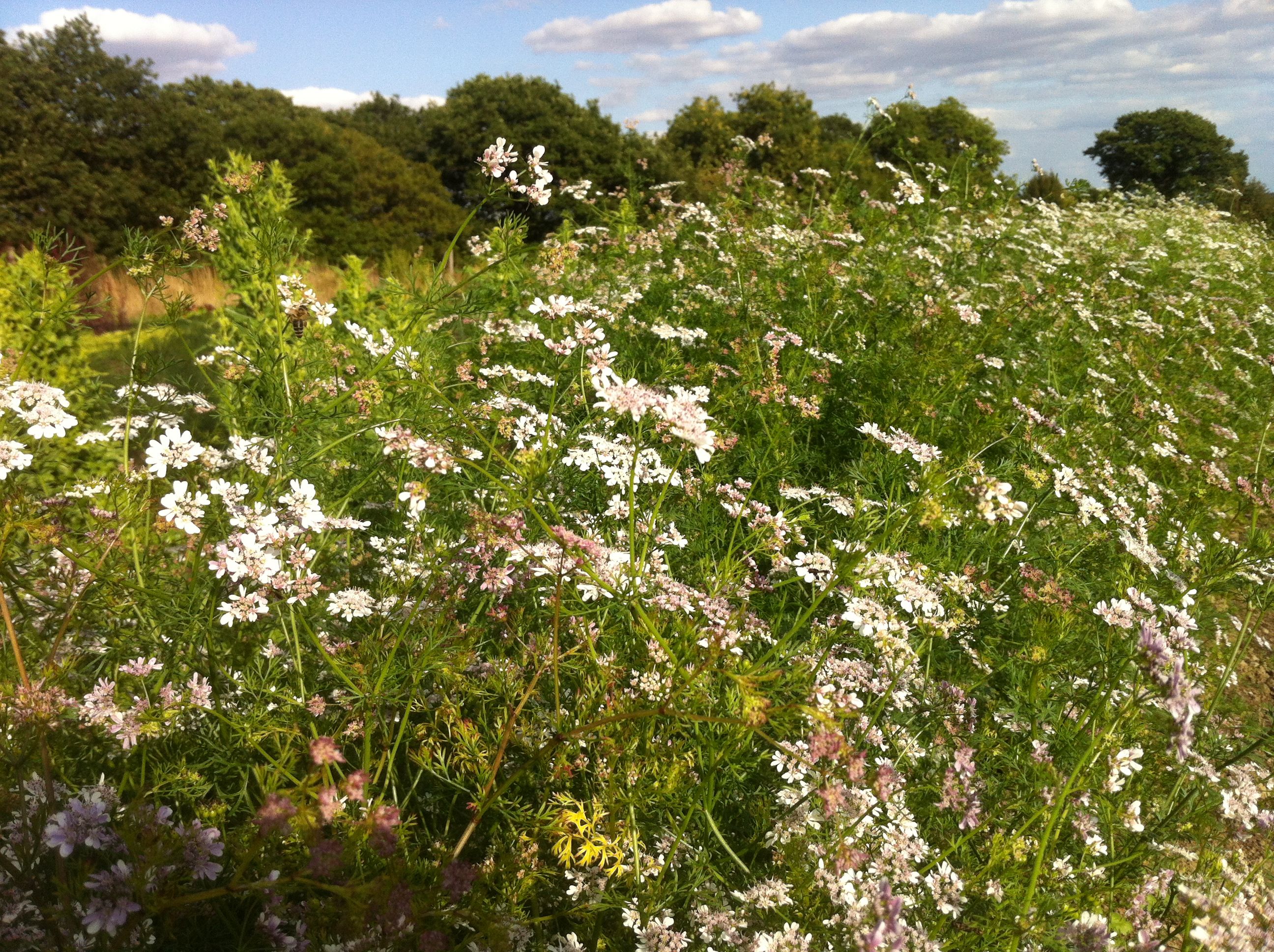 Image of Terms and Conditions