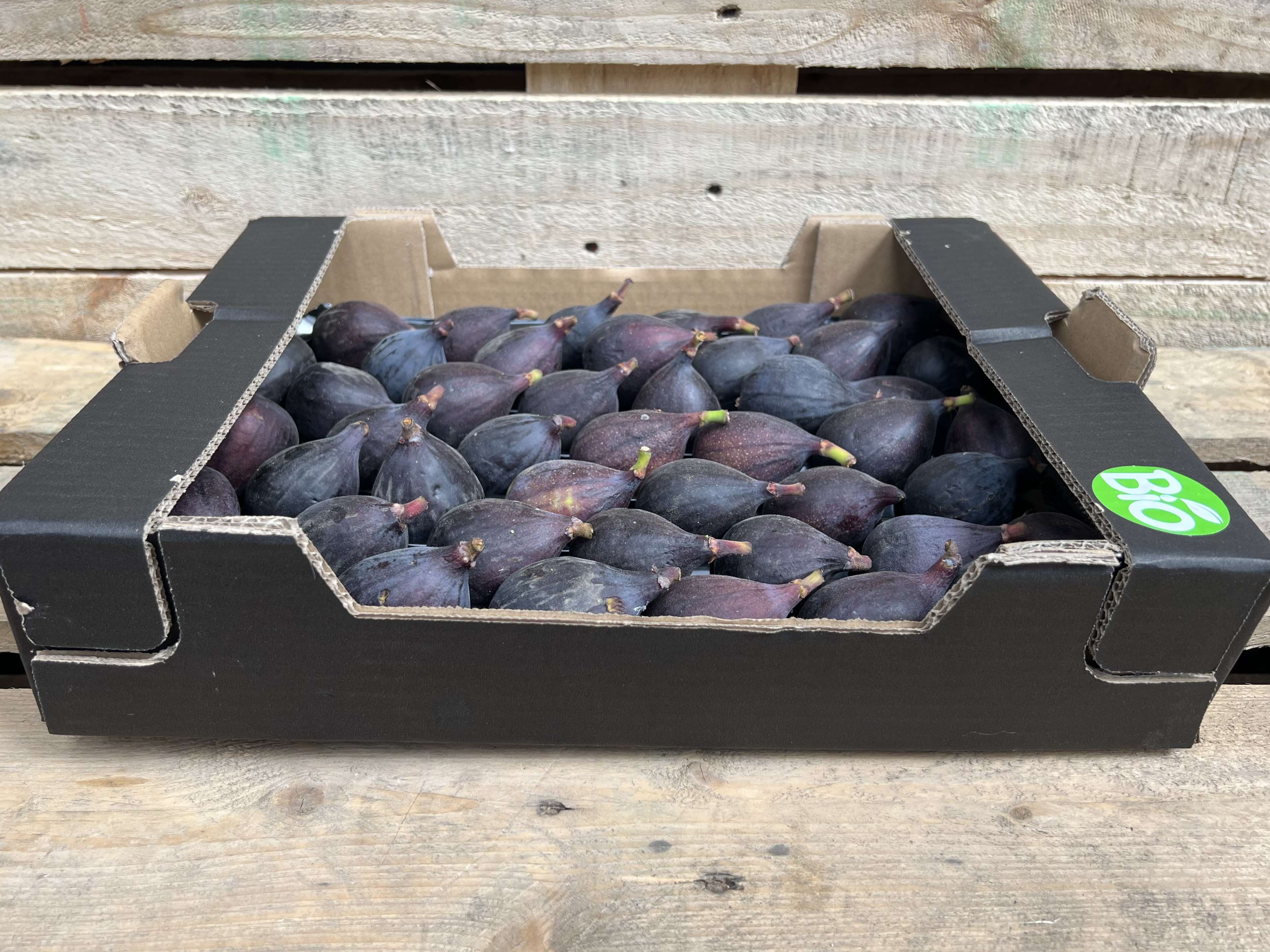Black Fig (out of stock)