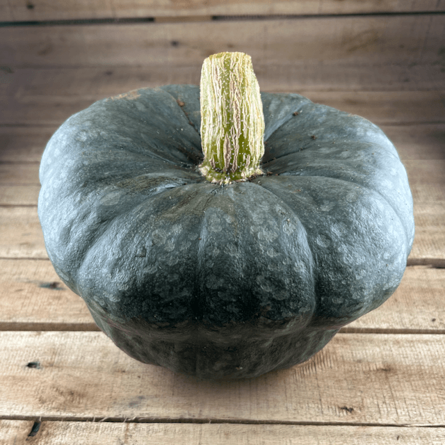 Queensland Blue Squash
