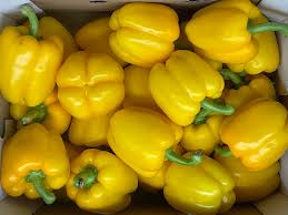 PYO Peppers -  Yellow