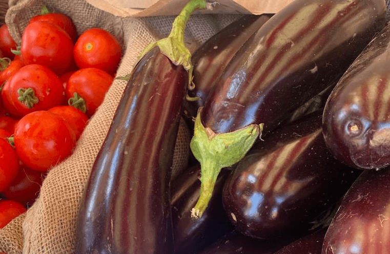 Image of Ottolenghi Pasta alla Norma