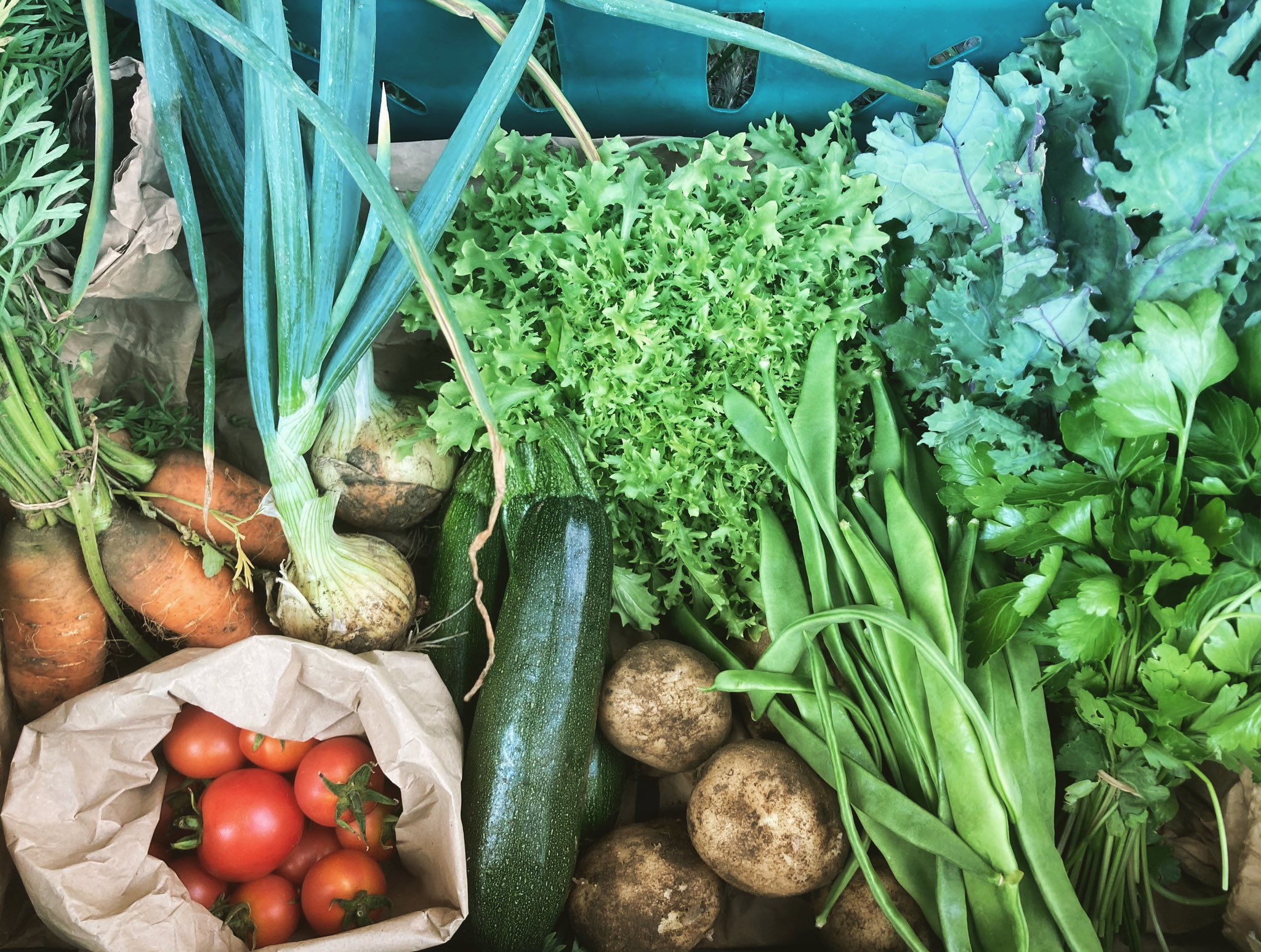 Enfield Veg Co