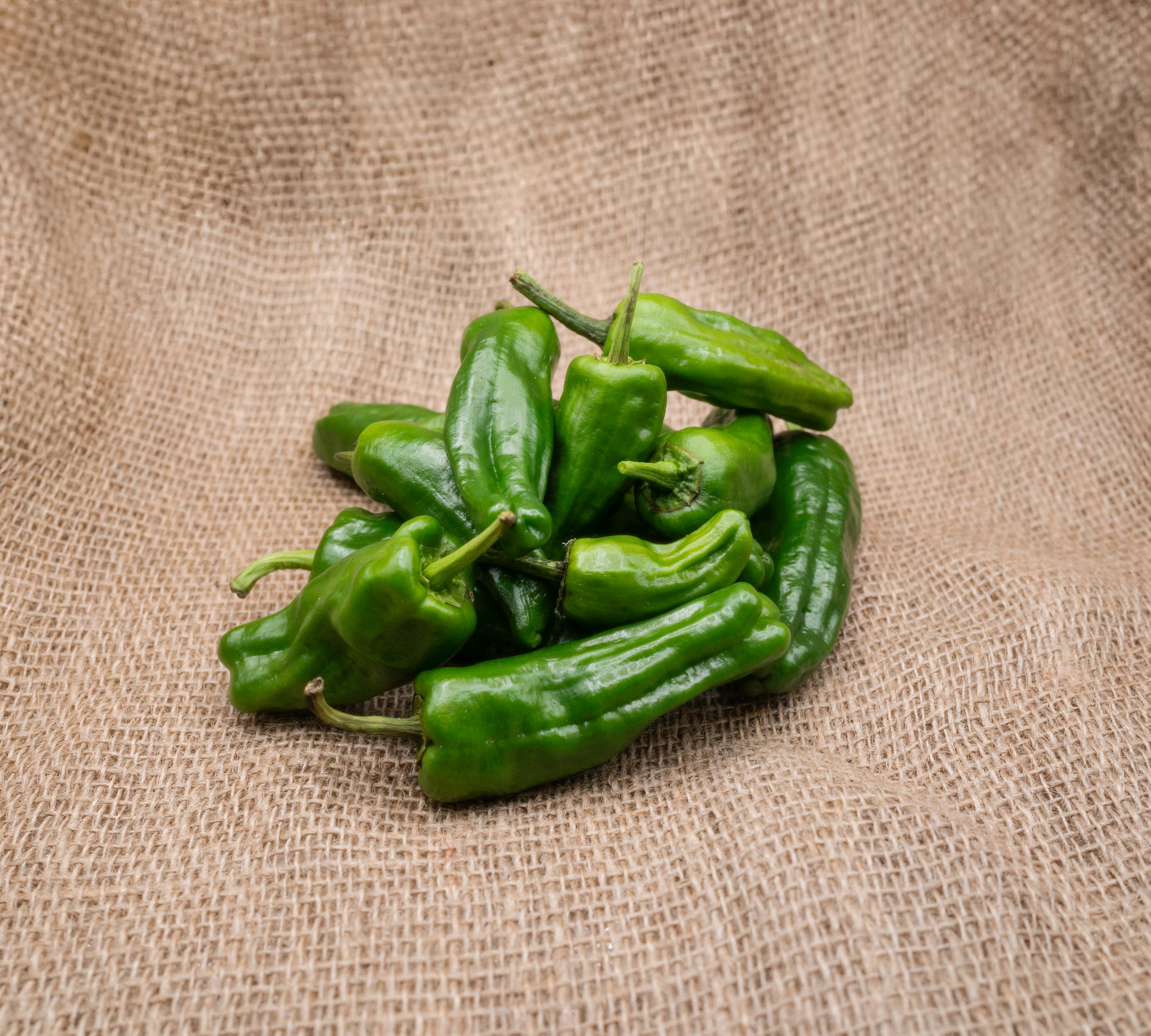 PYO Peppers - Padron