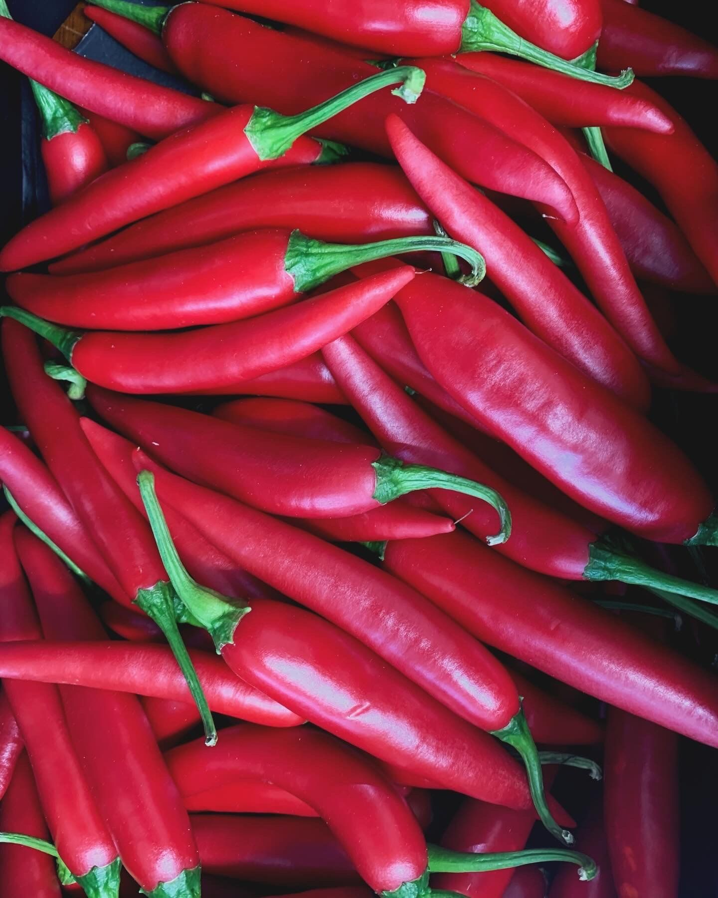 Image of Chillies