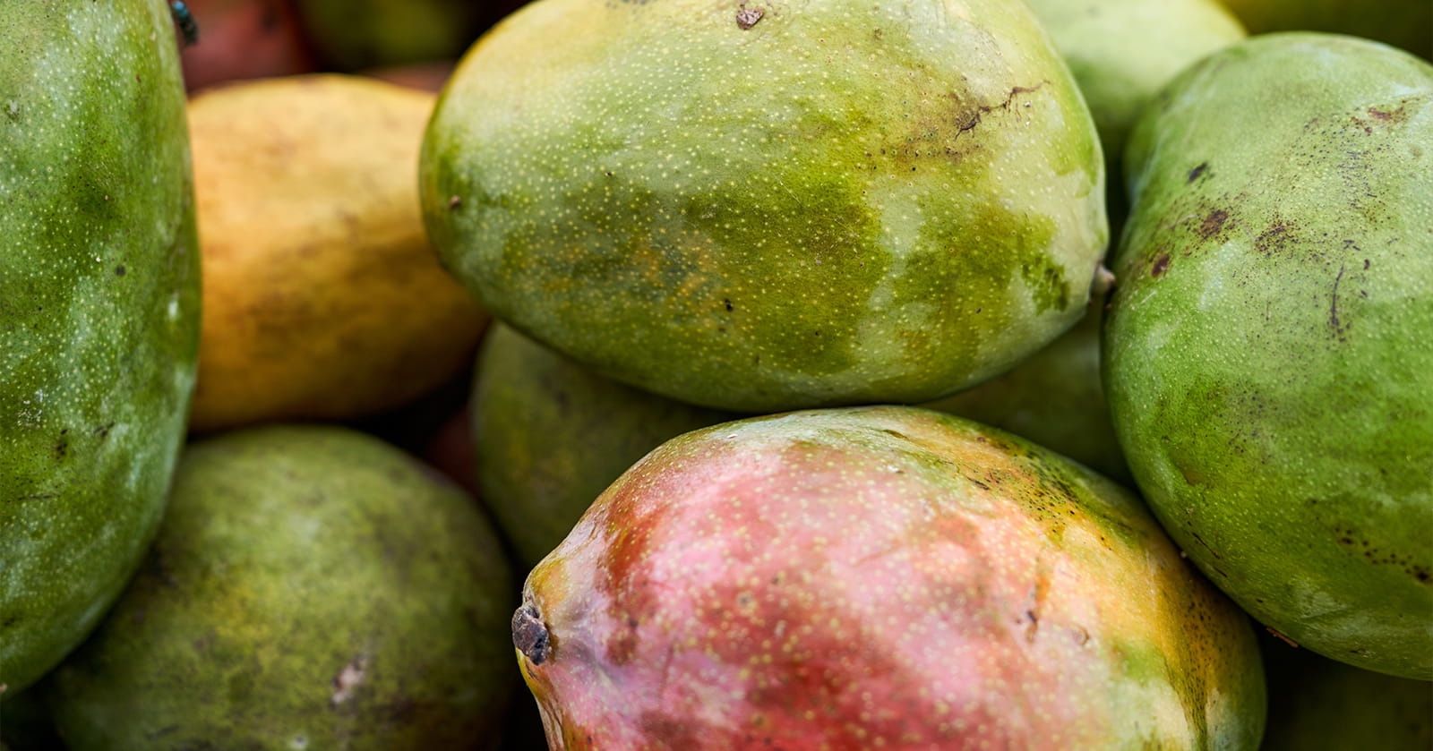 Image of Mango