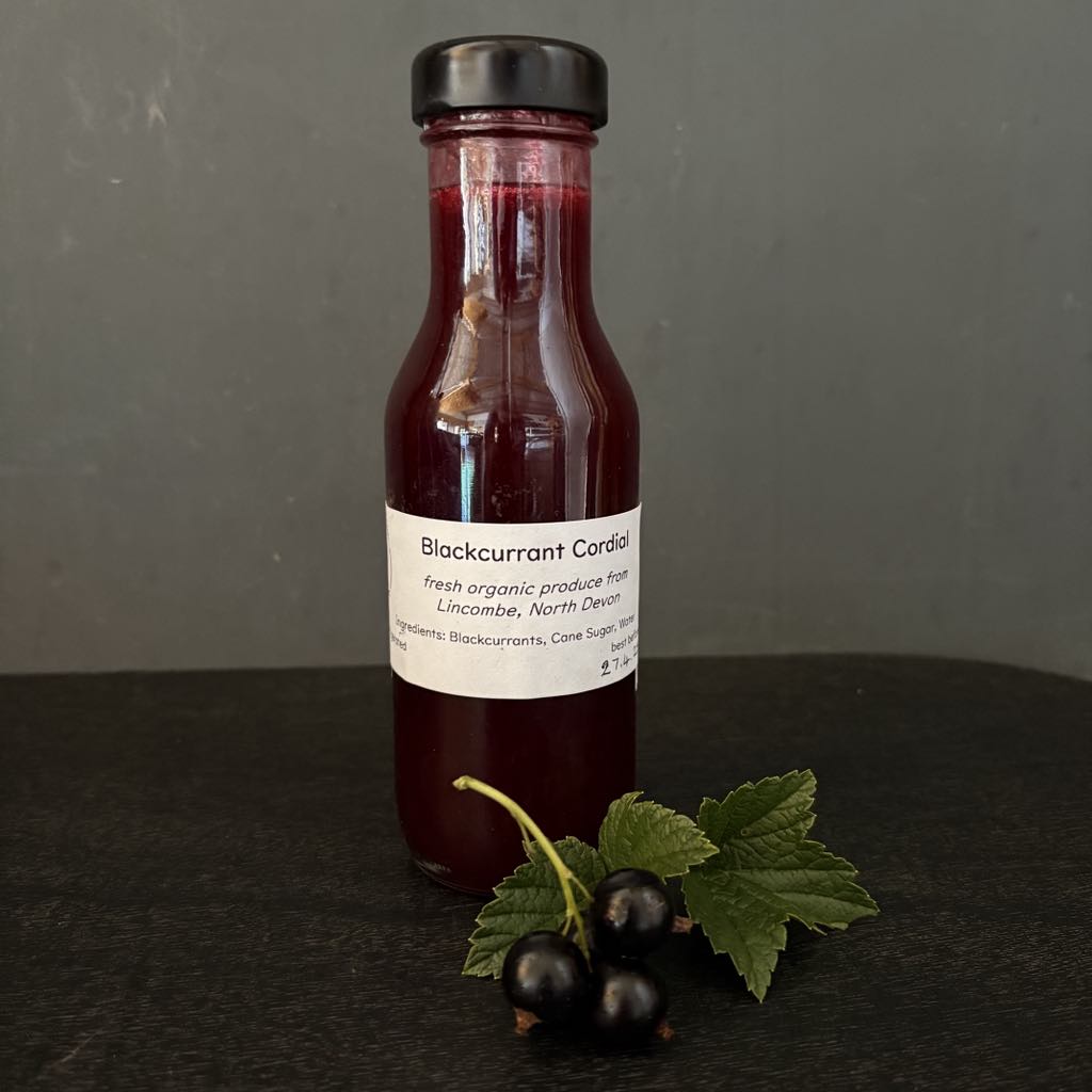 Blackcurrant Cordial